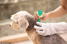Pet flea and tick treatments contain pesticides